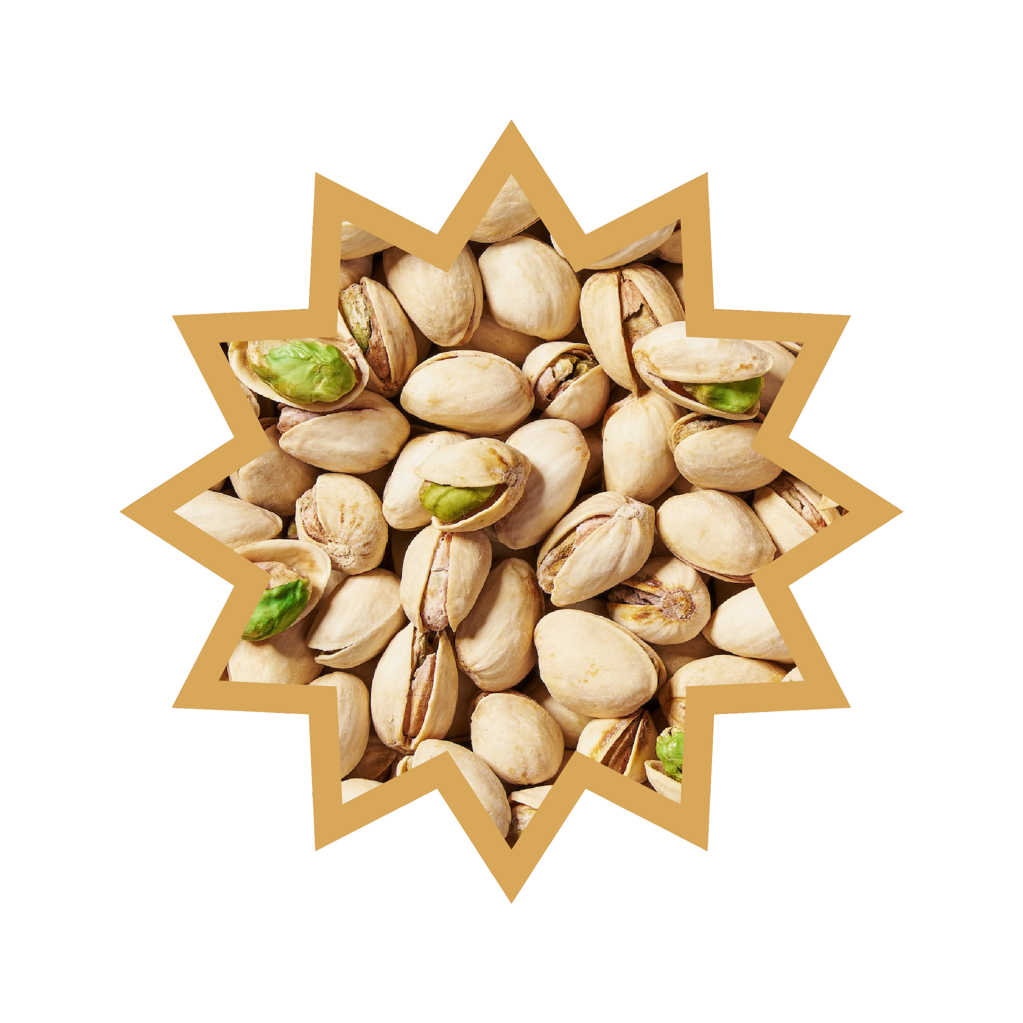 Risorsa 28@2x.png__PID:bef823c8-5e4c-48de-975f-02b1a37583d1